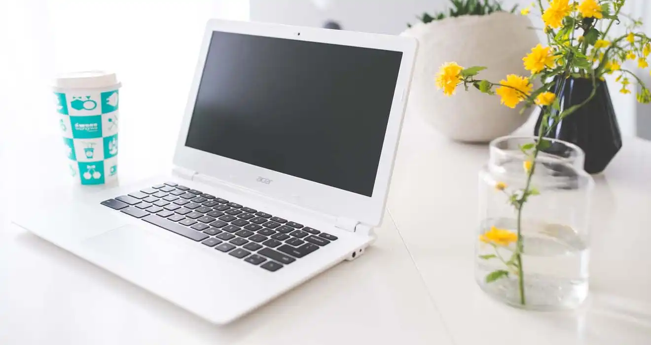 Ремонт ноутбуков Acer во Владимире
